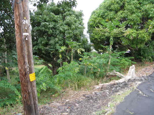 83-5275 Painted Church Road Captain Cook, HI 96704 - Photo 14 of 21 Gallery Image 14
