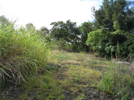 83-5275 Painted Church Road Captain Cook, HI 96704 - Photo 8 of 21 Gallery Image 8