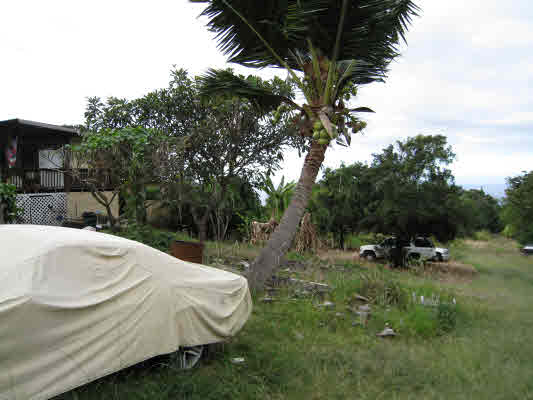 83-5275 Painted Church Road Captain Cook, HI 96704 - Photo 10 of 21 Gallery Image 10