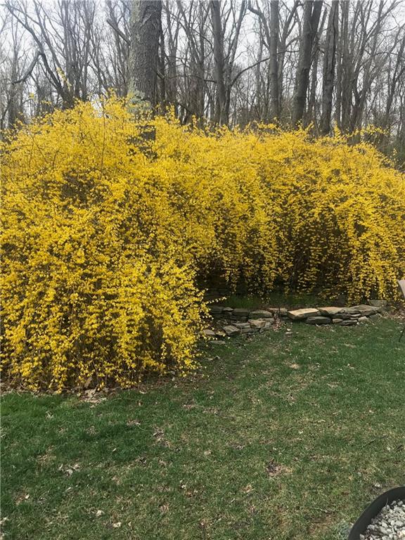 2618 New England Road West Mifflin, PA 15122 - Photo 24 of 25 a view of a yard with large trees