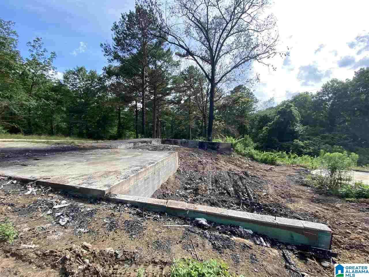 1074 Deaver Walker Road Trafford, AL 35172 - Photo 4 of 11