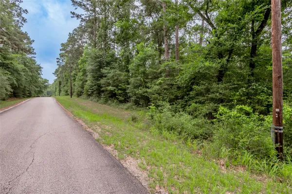 $9,167 | Lot 08 Oak Drive, Trinity, TX 75862