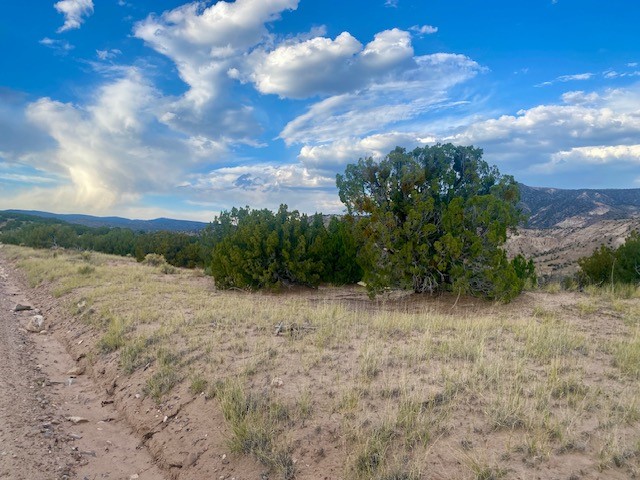 Lot 79 County Road Abiquiu, NM 87510 - Photo 9 of 11
