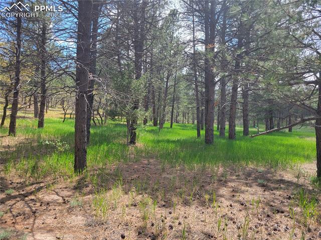 245 Hidden Valley Road Colorado Springs, CO 80919 - Photo 5 of 9
