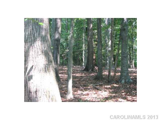 25 Ac Ashford Road Chester, SC 29706 - Photo 4 of 4 a black and white photo of a forest