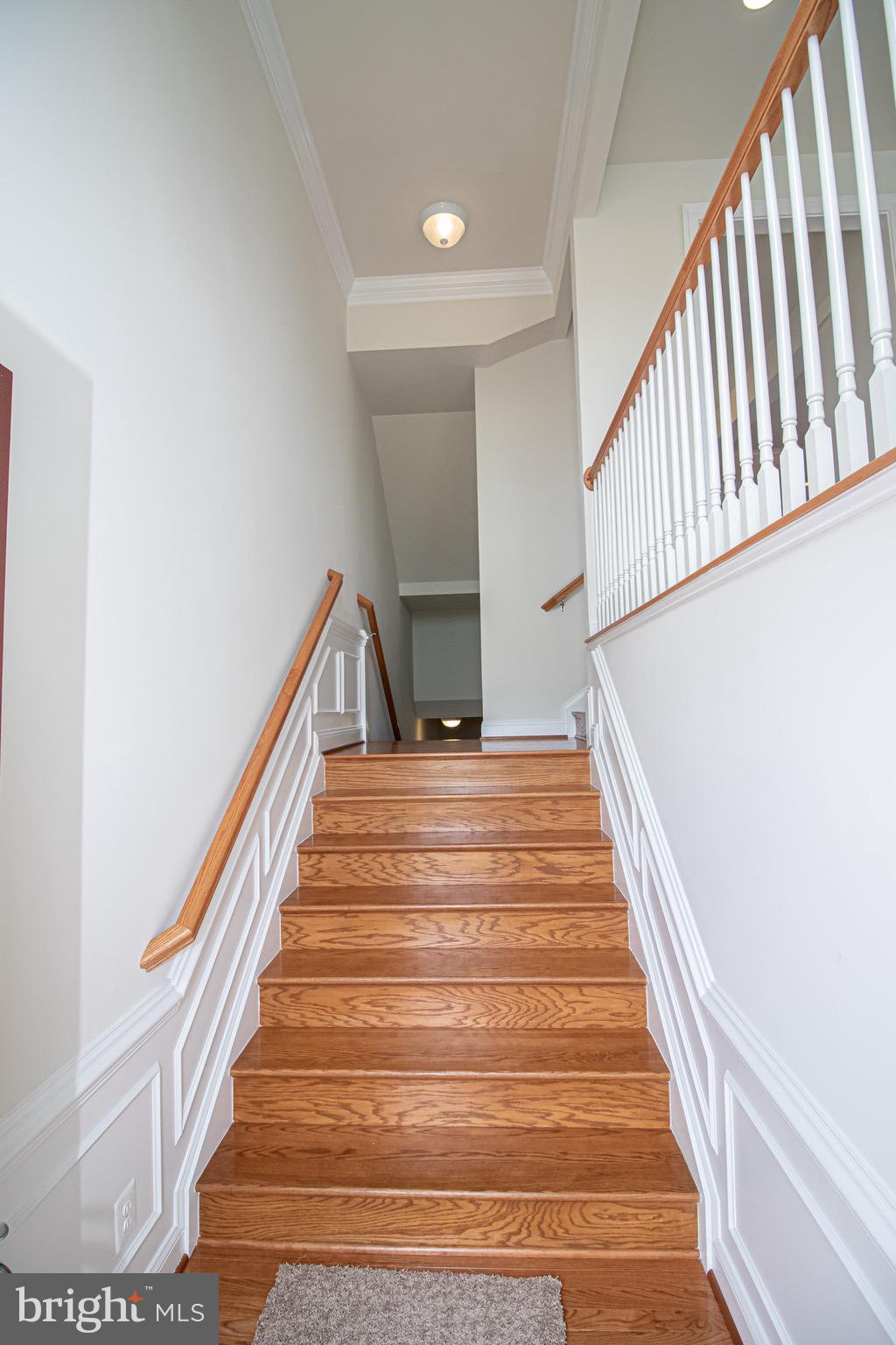 22275 Rampsbeck Terrace Ashburn, VA 20148 - Photo 5 of 52