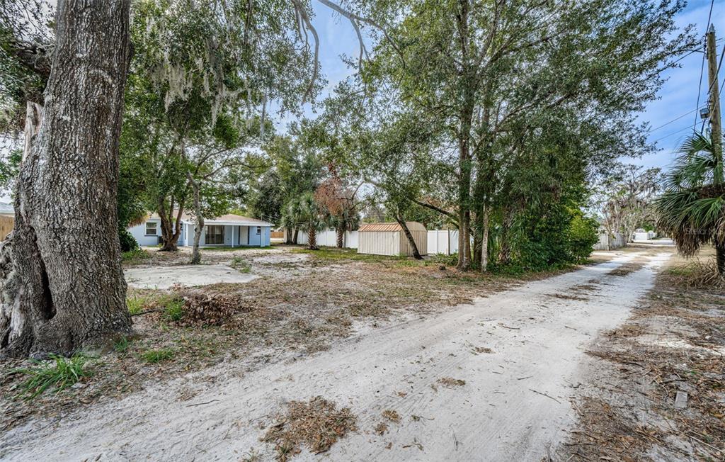 6027 Illinois Avenue New Port Richey, FL 34653 - Photo 23 of 30 a view of a tree in the middle of a yard