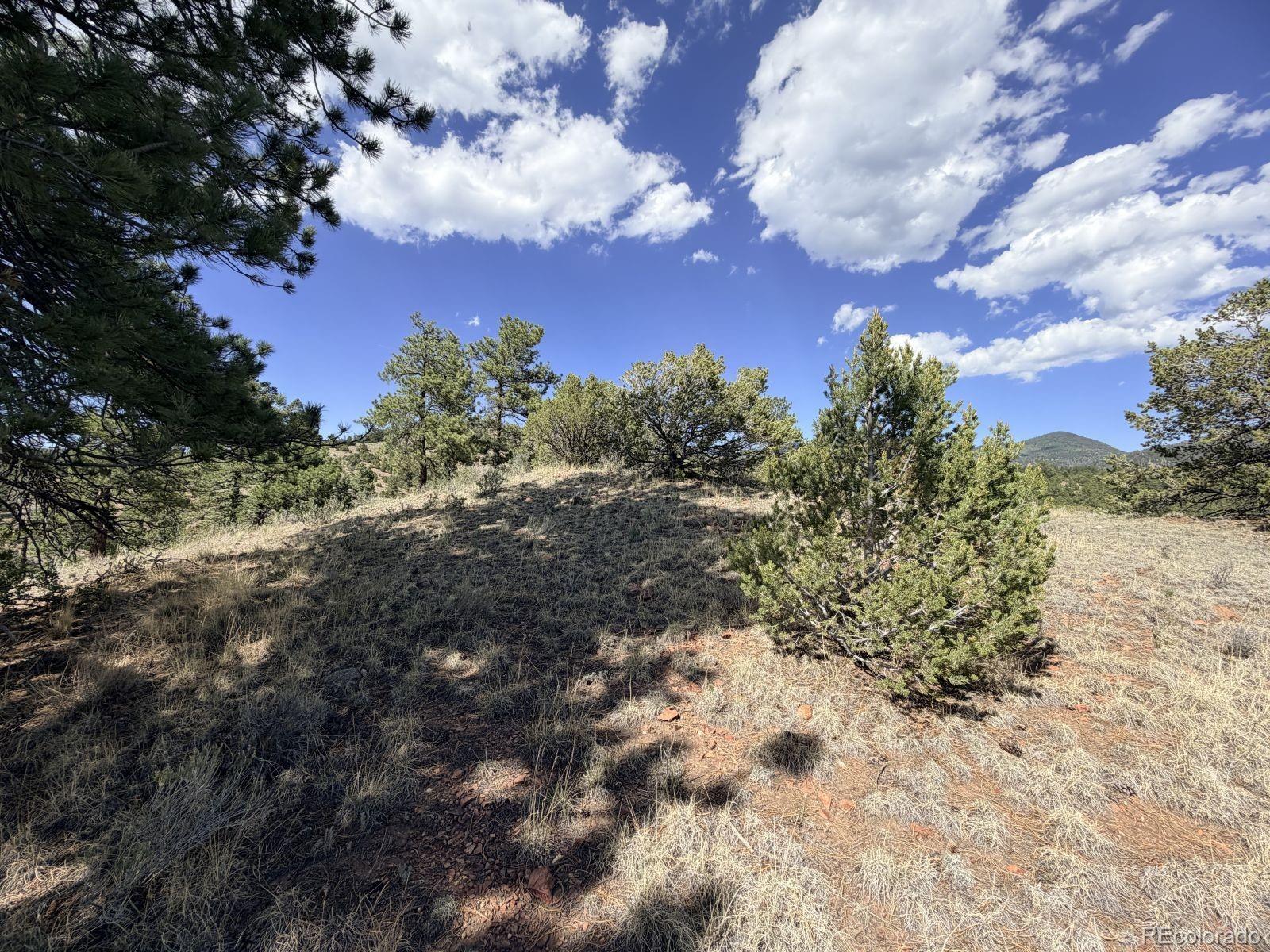 0 Schulze Ranch Road Westcliffe, CO 81252 - Photo 25 of 33