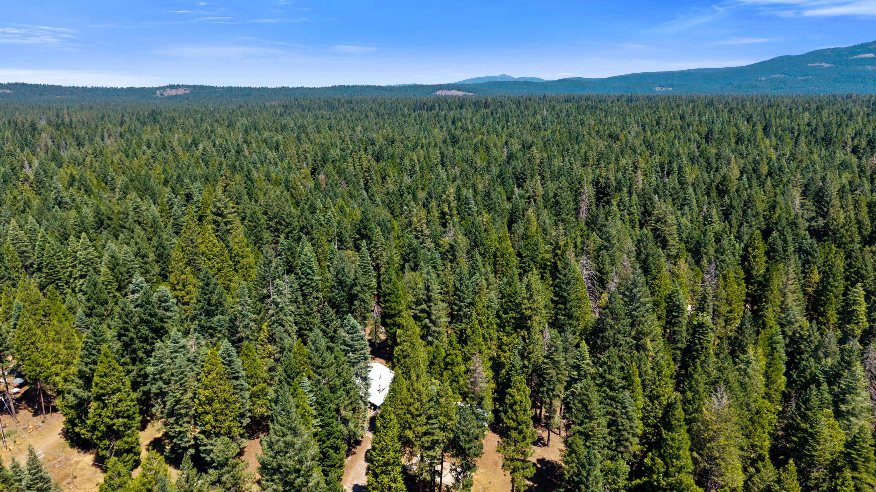 34610 Westward Ho Road Shingletown, CA 96088 - Photo 12 of 34 Drone02