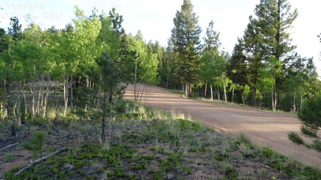 1353 Rangeview Road Divide, CO 80814 - Photo 10 of 10 Gallery Image 10