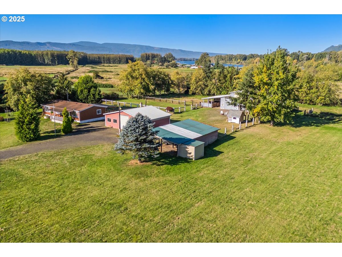 78527 Point Adams Road Clatskanie, OR 97016 - Photo 5 of 46 a view of a garden with lounge chair