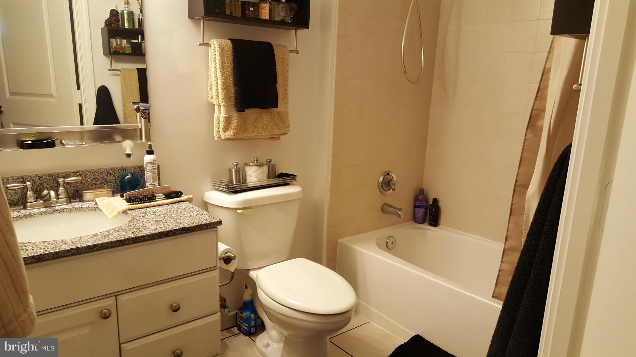 3650 South Glebe Road, Unit 649 Arlington, VA 22202 - Photo 12 of 22 a bathroom with a granite countertop sink and a mirror