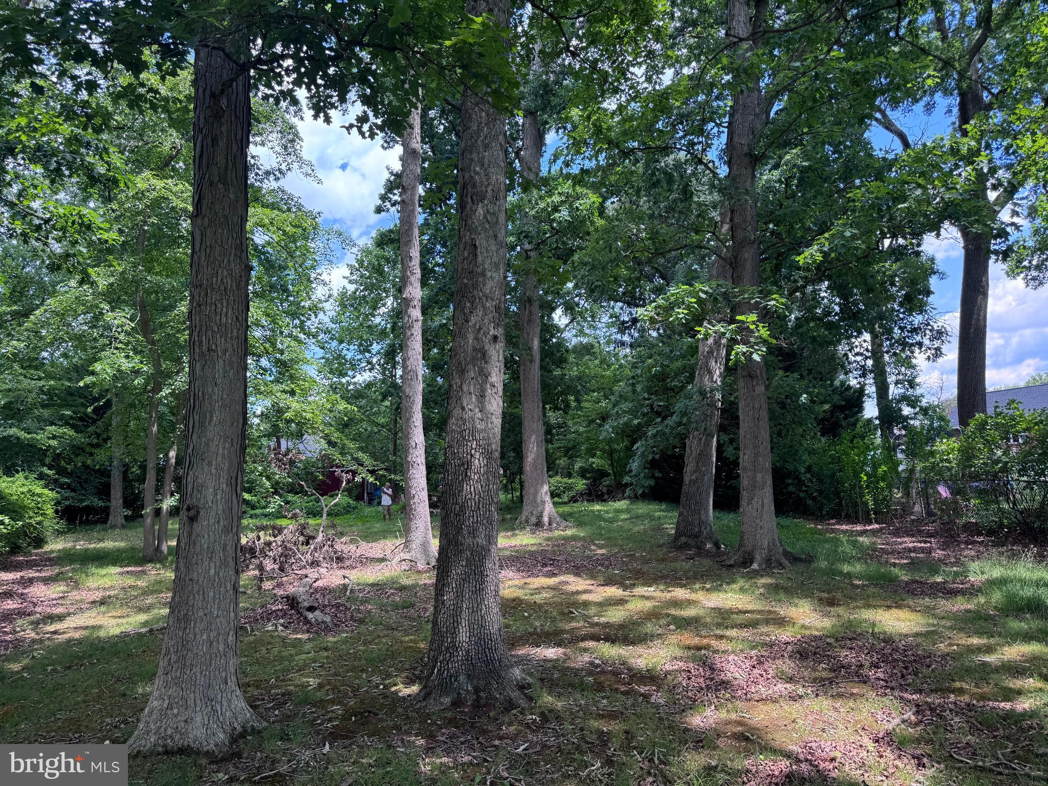 0 Darnall Road Nottingham, MD 21236 - Photo 3 of 5