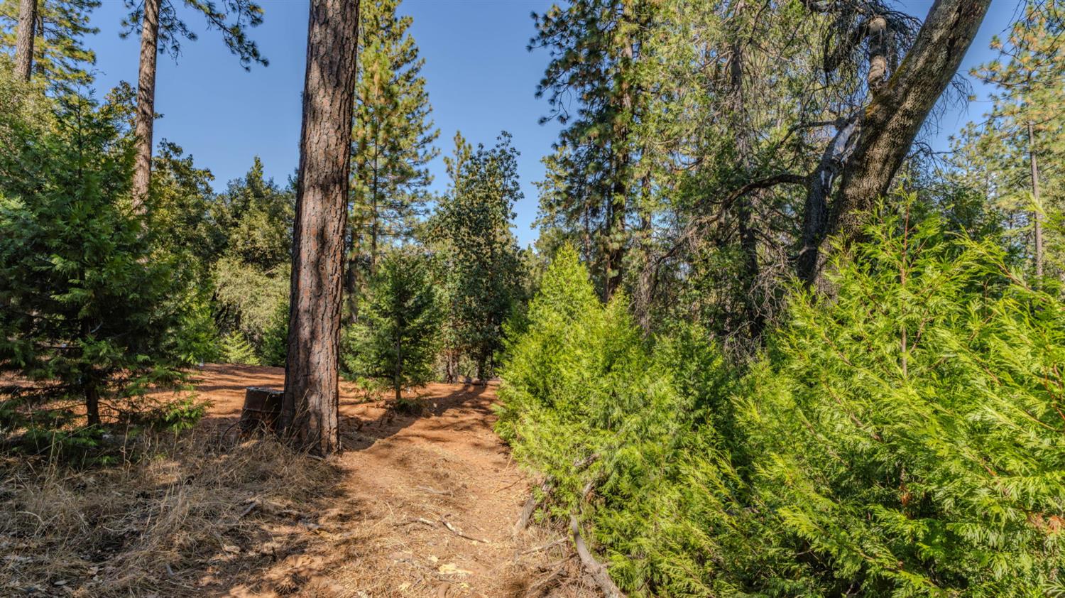 11456 Gold Strike Road Pine Grove, CA 95665 - Photo 4 of 24 Gallery Image 4