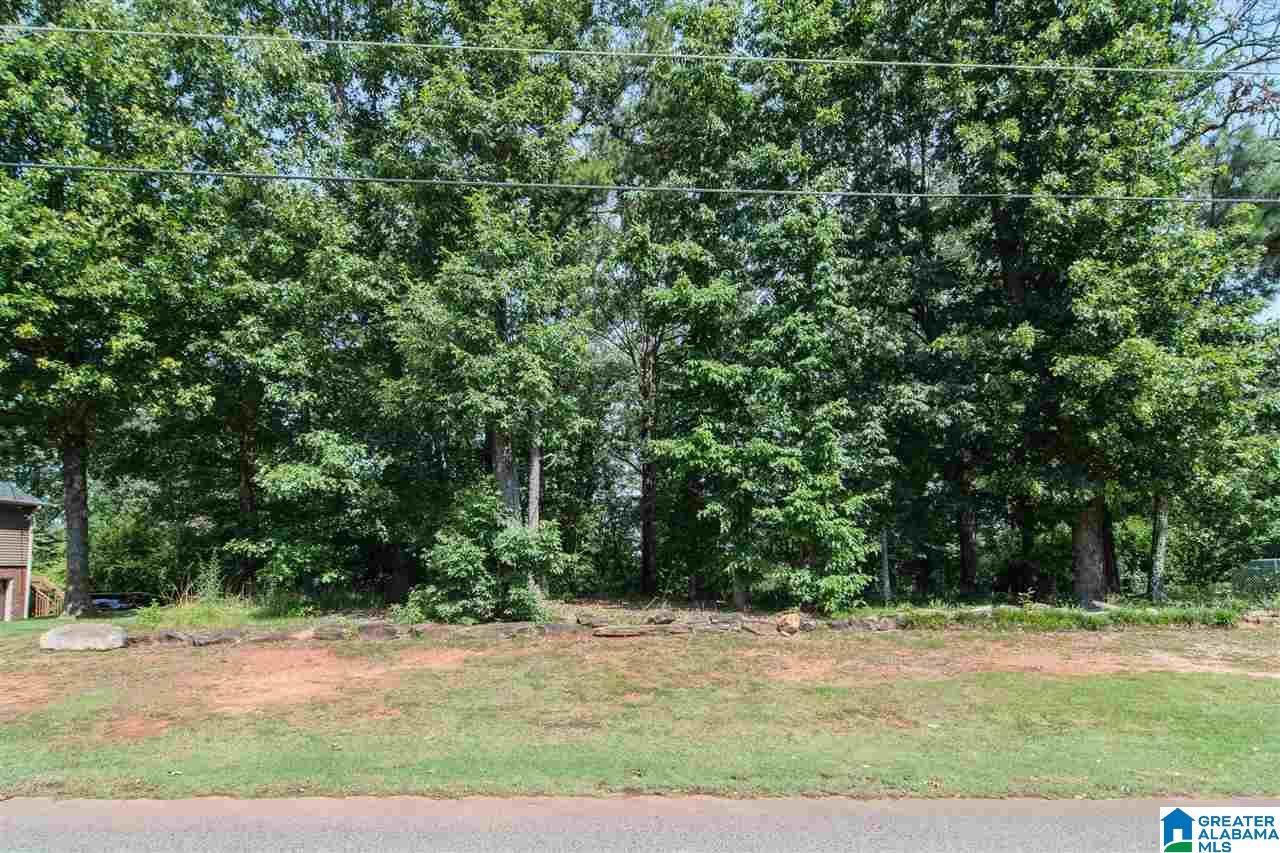 6426 Mountain Ridge Road Trussville, AL 35173 - Photo 48 of 48