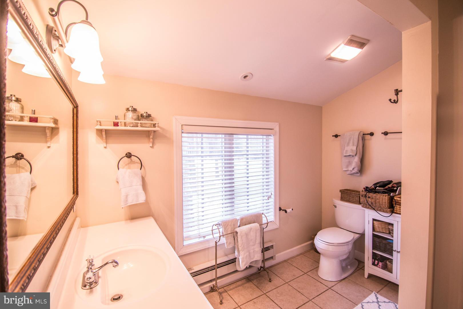 217 Old Mill Bottom Road South Annapolis, MD 21409 - Photo 20 of 30 Bath (Master)