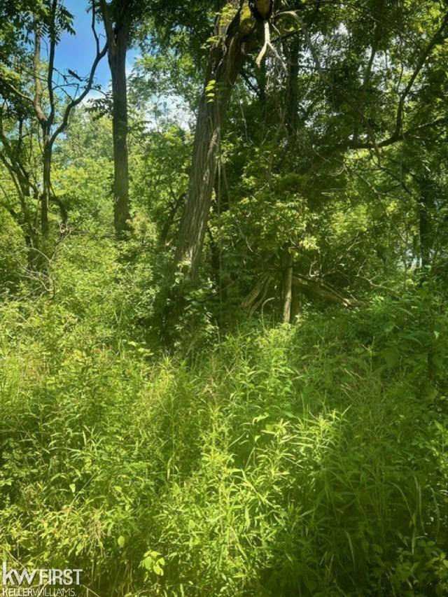 4411 Quick Road Holly, MI 48442 - Photo 3 of 3