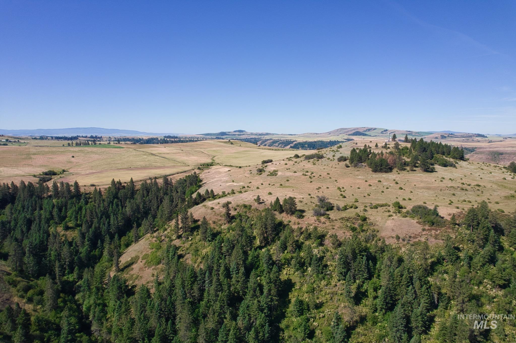 Doty Road Kamiah, ID 83536 - Photo 17 of 19