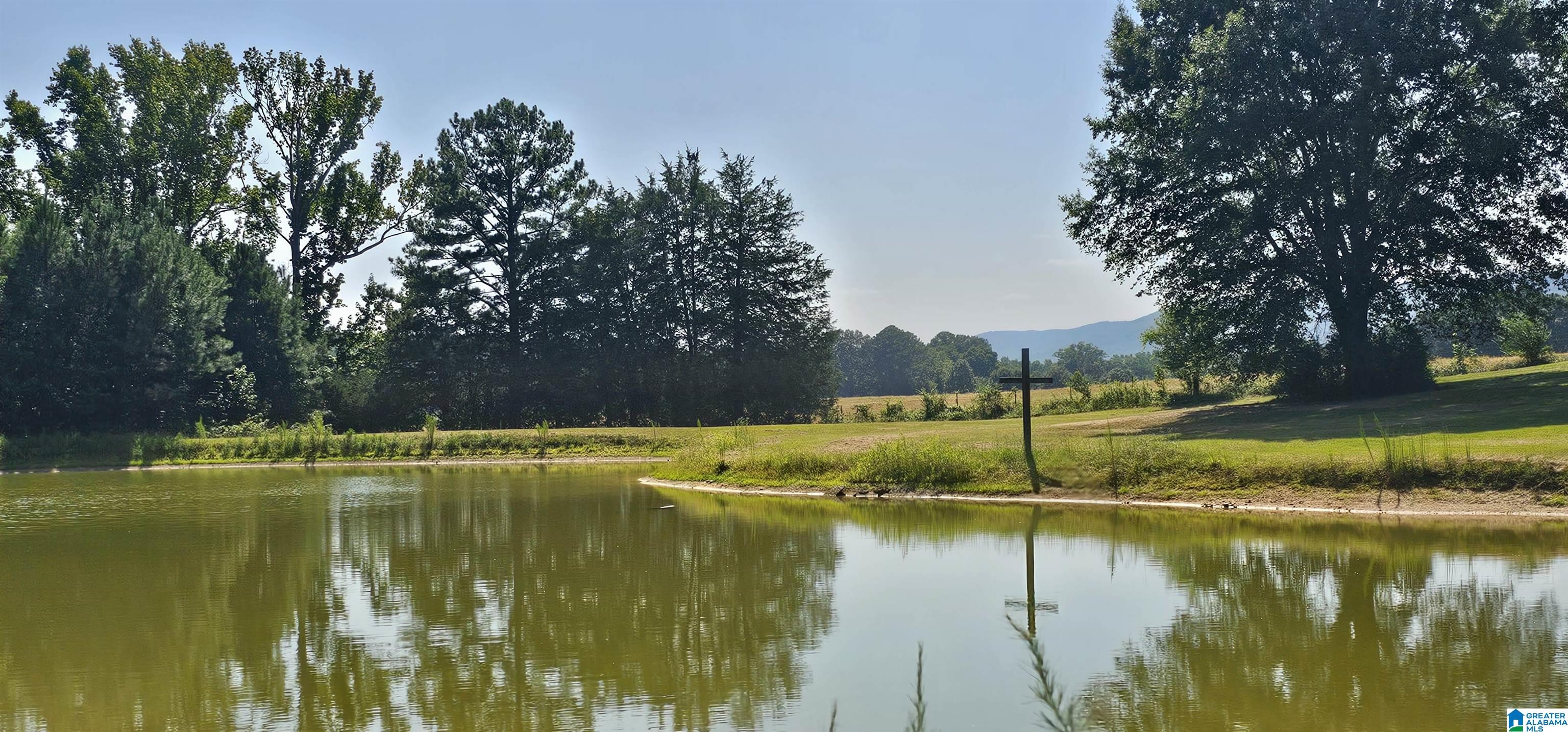 1218 Beason Cove Road Steele, AL 35987 - Photo 8 of 20