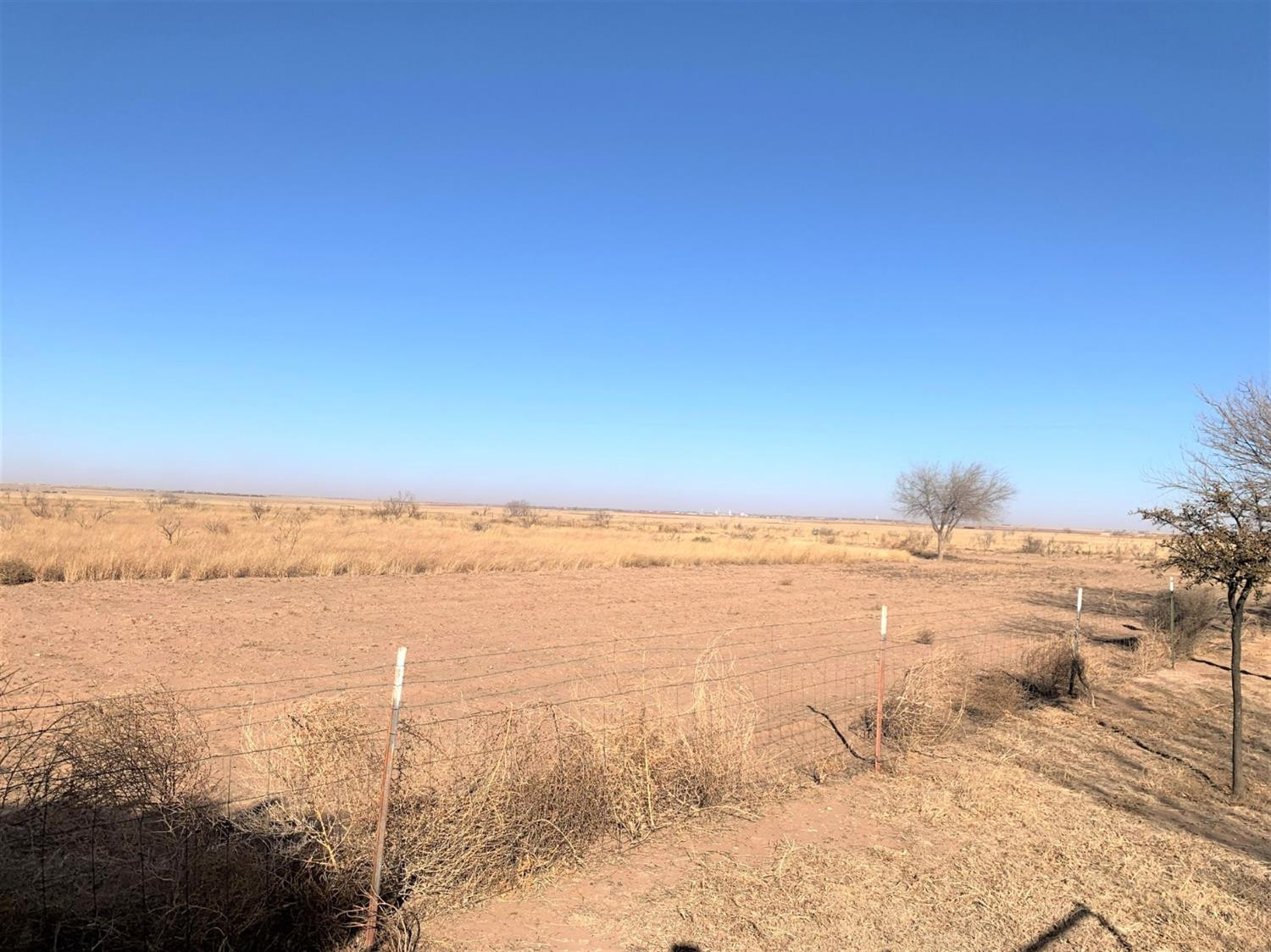 6653 Maine Road Anton, TX 79313 - Photo 18 of 31 Photo 18