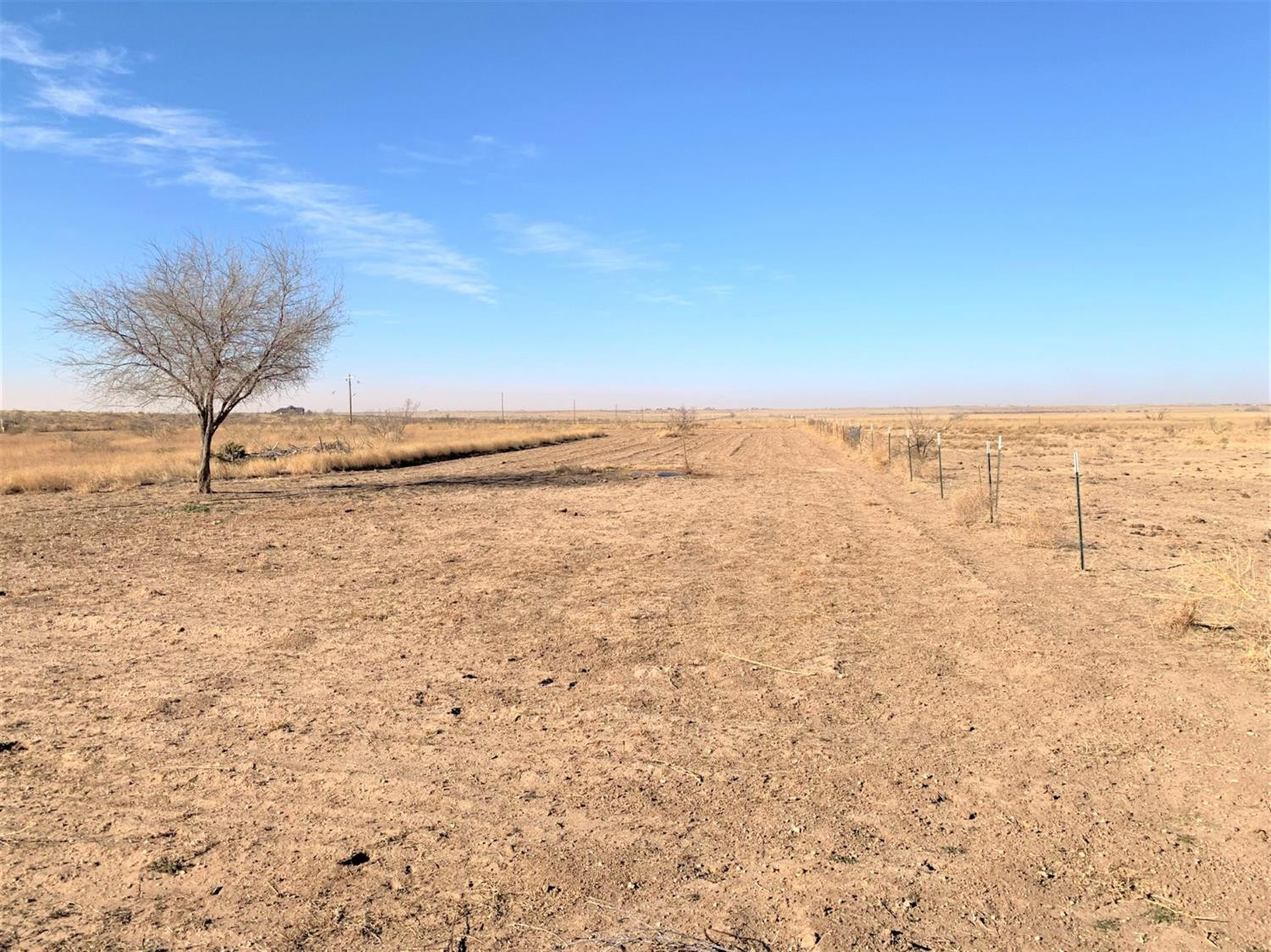 6653 Maine Road Anton, TX 79313 - Photo 19 of 31 Photo 19
