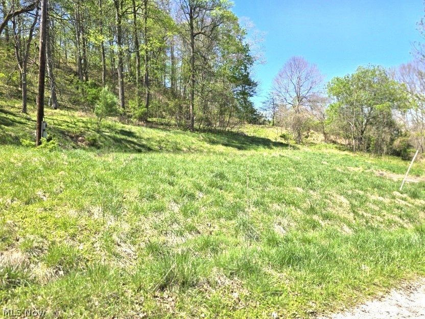 2361 Carpenter Run Road Waverly, WV 26184 - Photo 34 of 37
