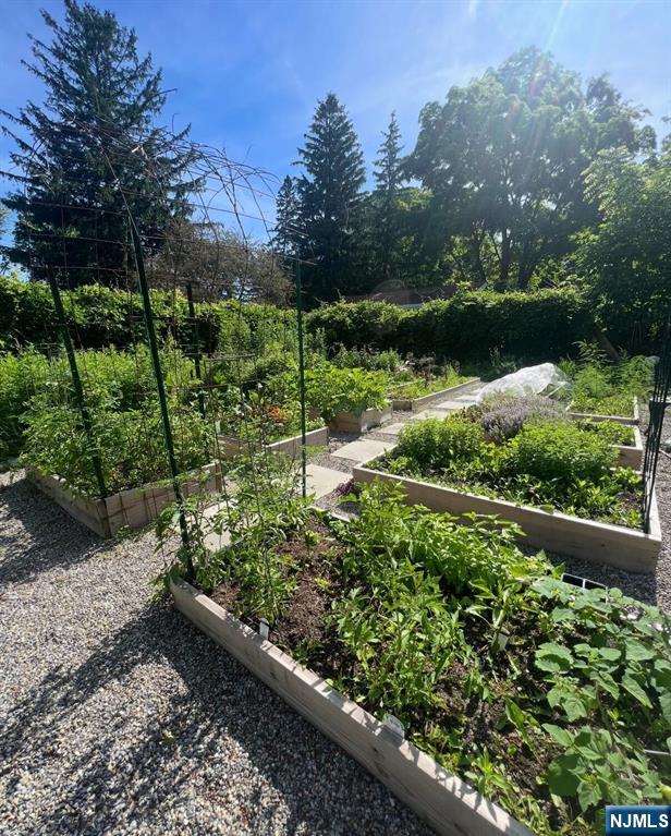 343-339 Quaker Church Road Randolph, NJ 07869 - Photo 7 of 38 a view of a garden with a pathway