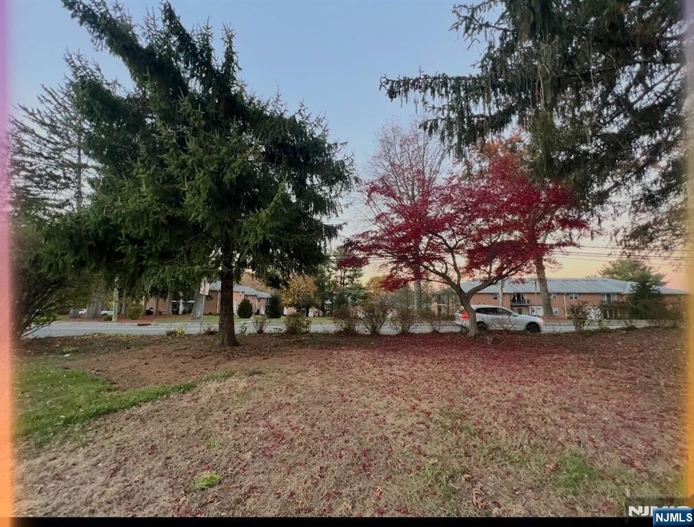343-339 Quaker Church Road Randolph, NJ 07869 - Photo 9 of 38 a view of a yard with a tree