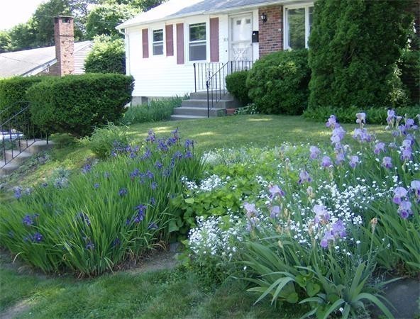 303 Florence Road Waltham, MA 02453 - Photo 23 of 24 Gallery Image 23