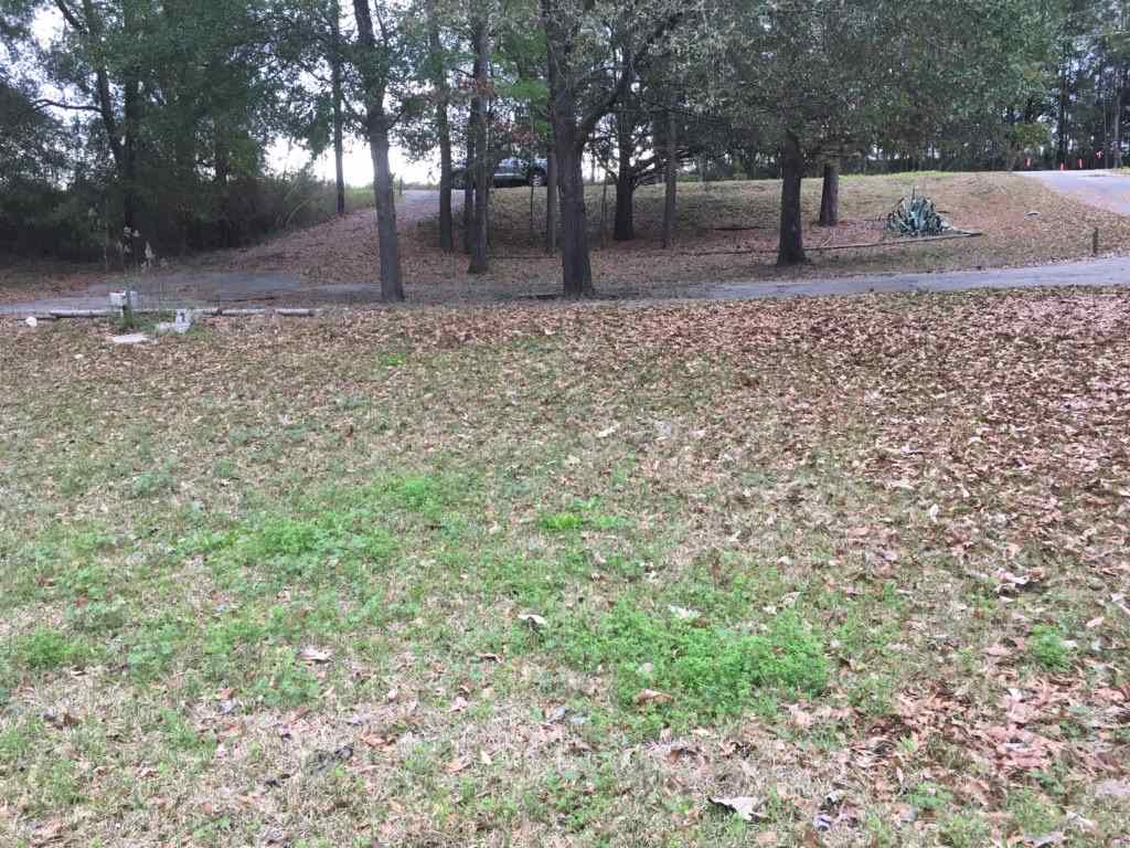 30175 Sandy Landing Road Andalusia, AL 36421 - Photo 2 of 2 Gallery Image 2