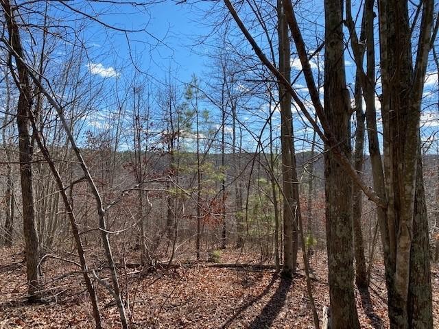 6 Brown Trace Road South Pittsburg, TN 37380 - Photo 2 of 7 Gallery Image 2