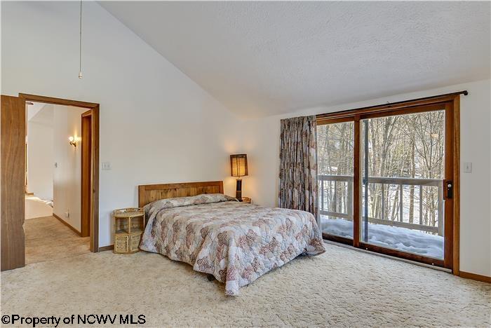 770 Mountainside Road Davis, WV 26260 - Photo 8 of 20 Gallery Image 8