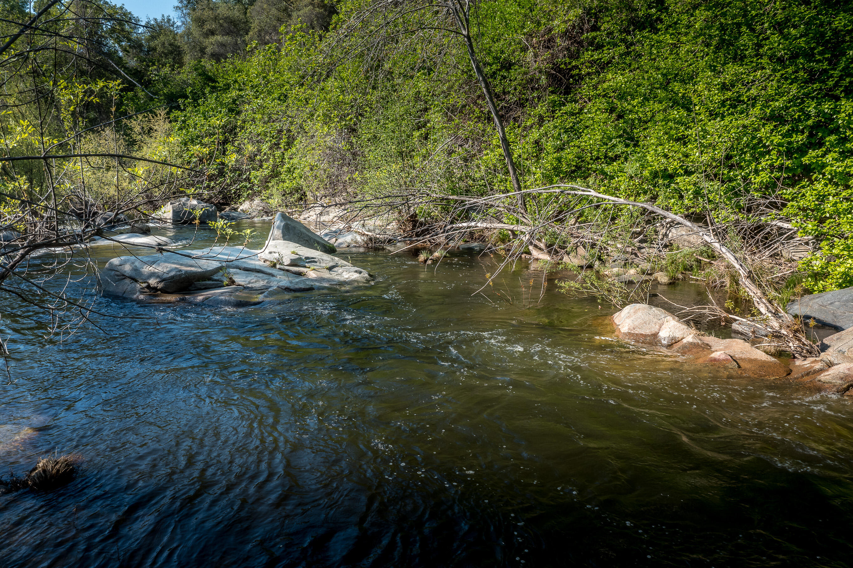 44335 North Fork Three Rivers, CA 93271 - Photo 2 of 53 DJI_0194-HDR