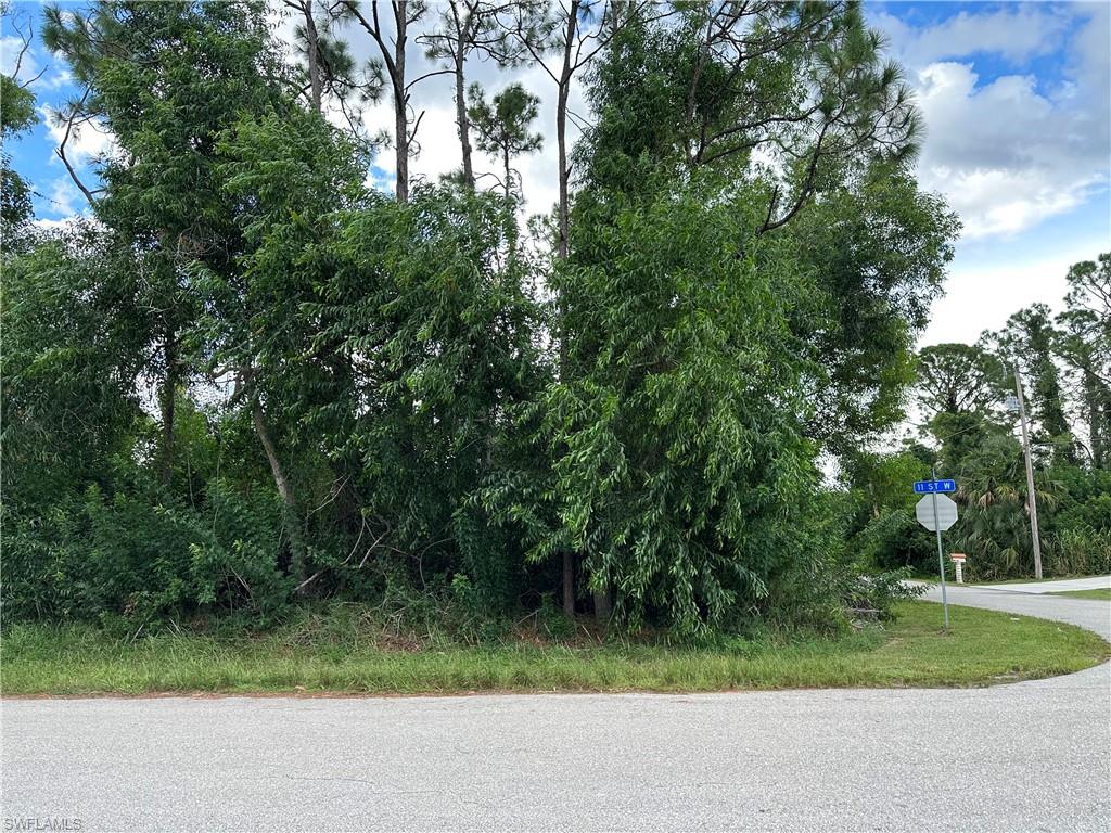 Tbd Tbd Corner Lehigh Acres, FL 33971 - Photo 3 of 6 a view of a yard with a plants and trees