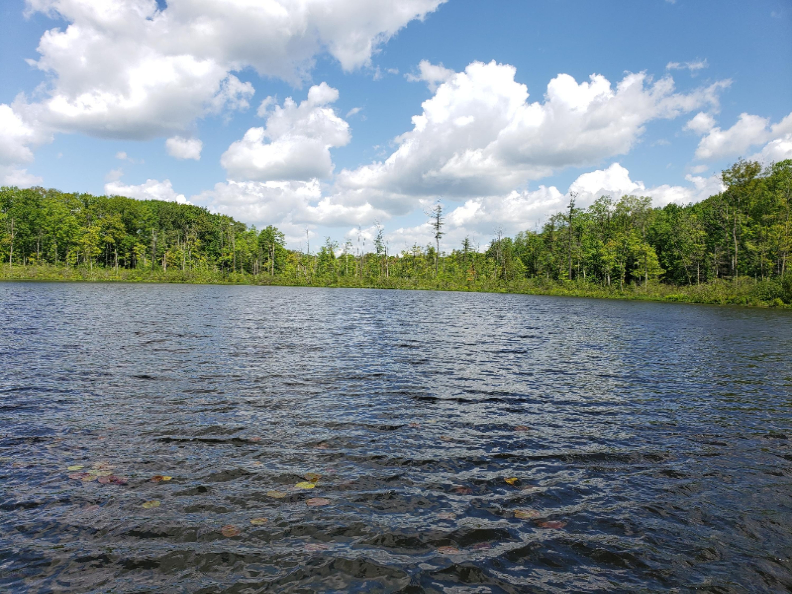 20854 4 Mile Road Morley, MI 49336 - Photo 1 of 21 20190602_114453