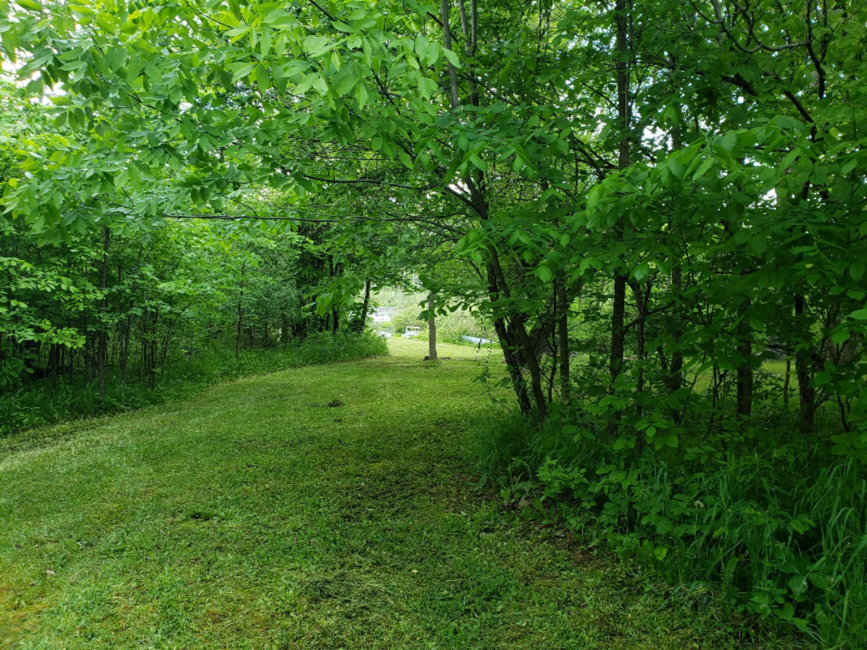 20854 4 Mile Road Morley, MI 49336 - Photo 13 of 21 20190602_115127