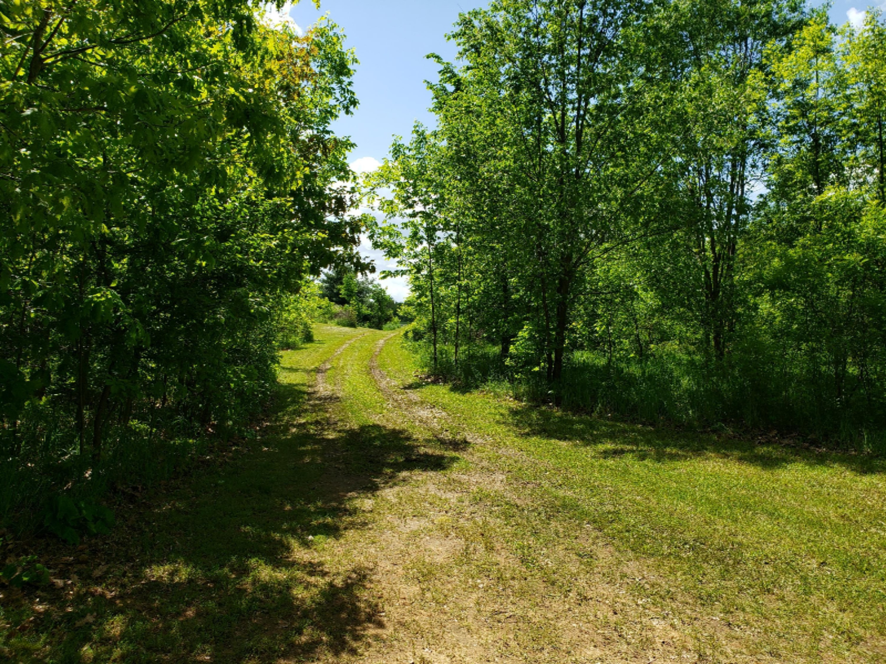 20854 4 Mile Road Morley, MI 49336 - Photo 16 of 21 20190602_115300