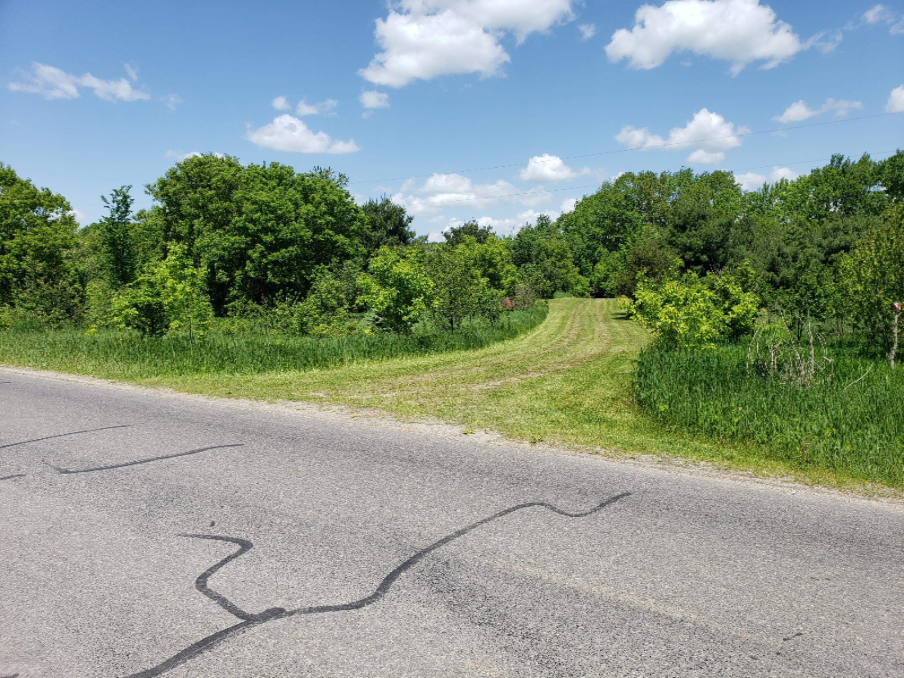 20854 4 Mile Road Morley, MI 49336 - Photo 17 of 21 20190602_124632