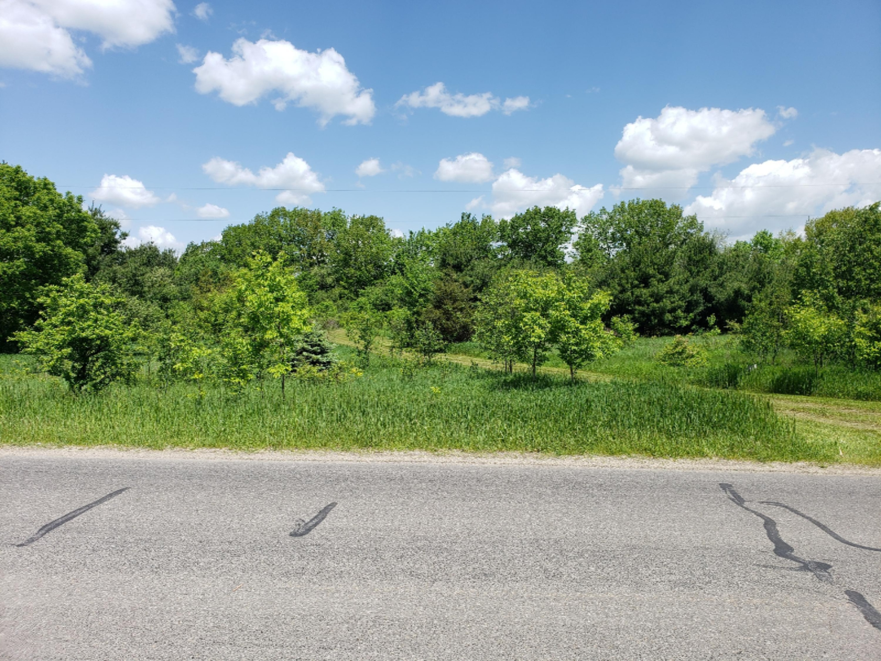 20854 4 Mile Road Morley, MI 49336 - Photo 18 of 21 20190602_124656