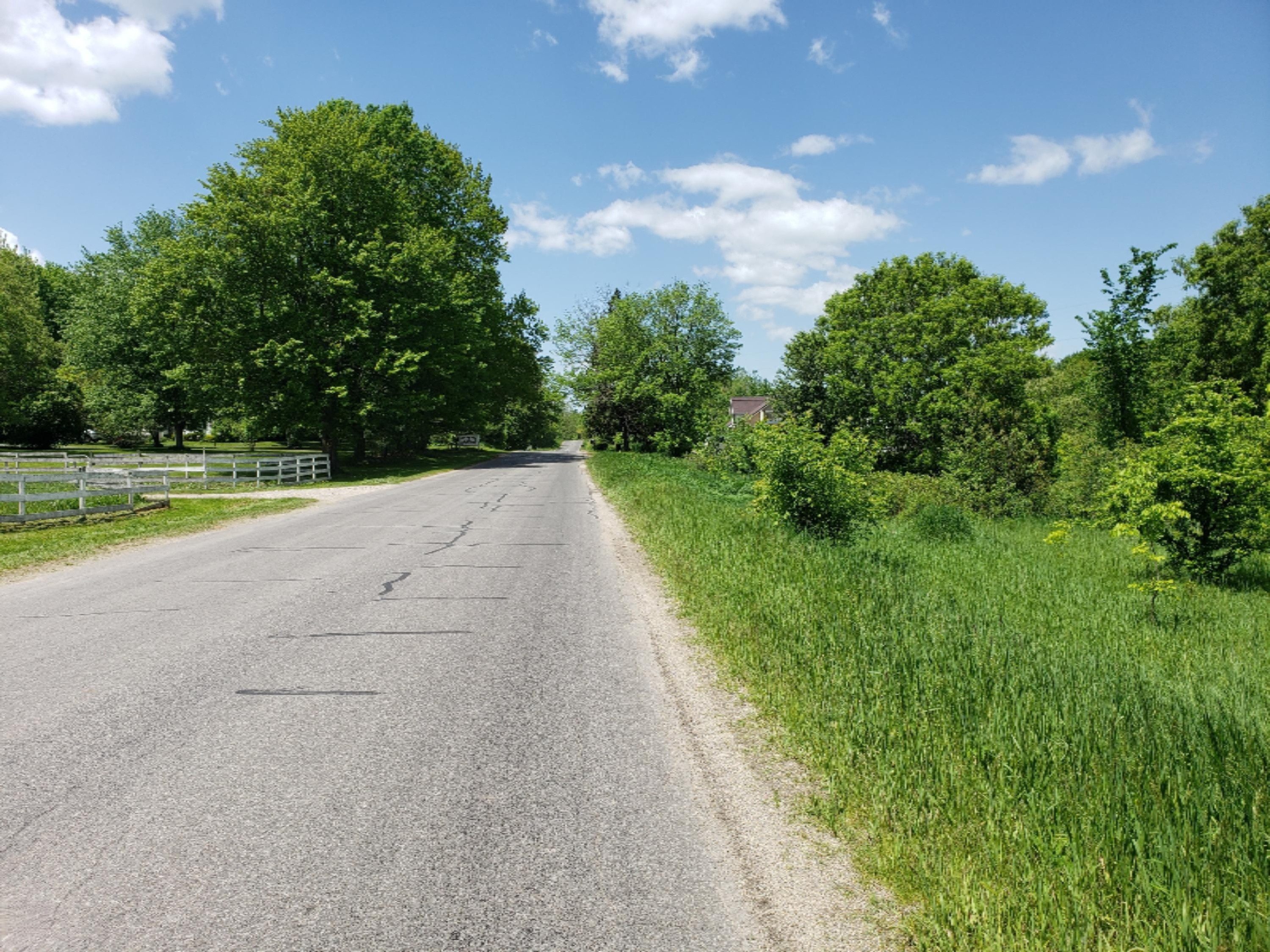 20854 4 Mile Road Morley, MI 49336 - Photo 20 of 21 20190602_124717