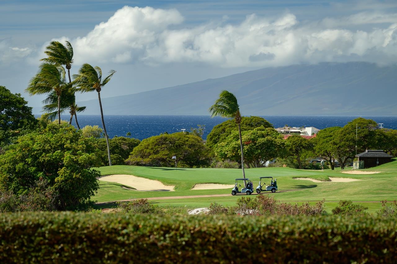 104 Anapuni Loop Lahaina, HI 96761 - Photo 18 of 45 a view of a golf course