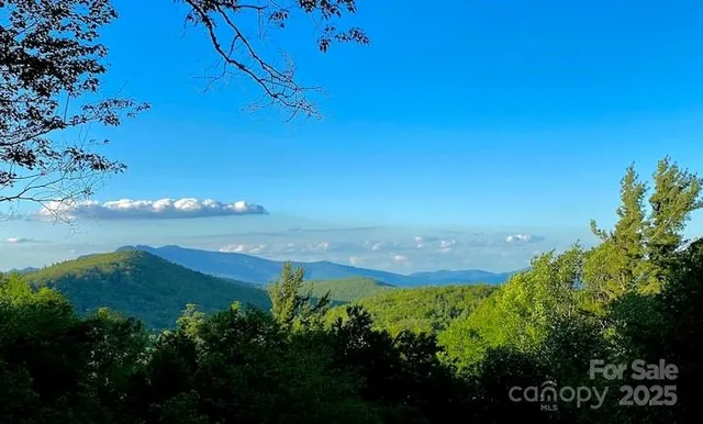 a view of mountain view with lots of trees