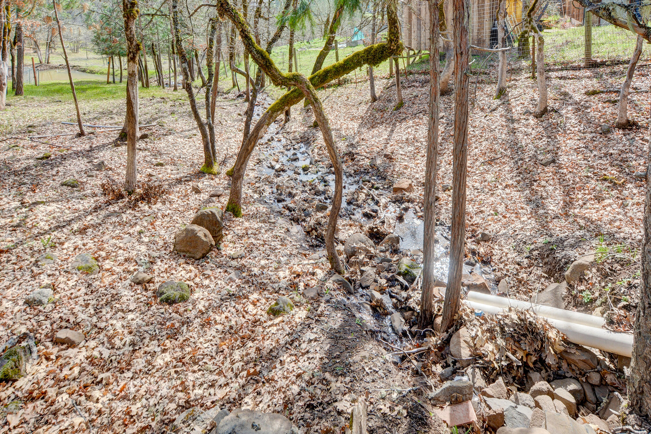 5492 Highway 227 Trail, OR 97541 - Photo 49 of 57