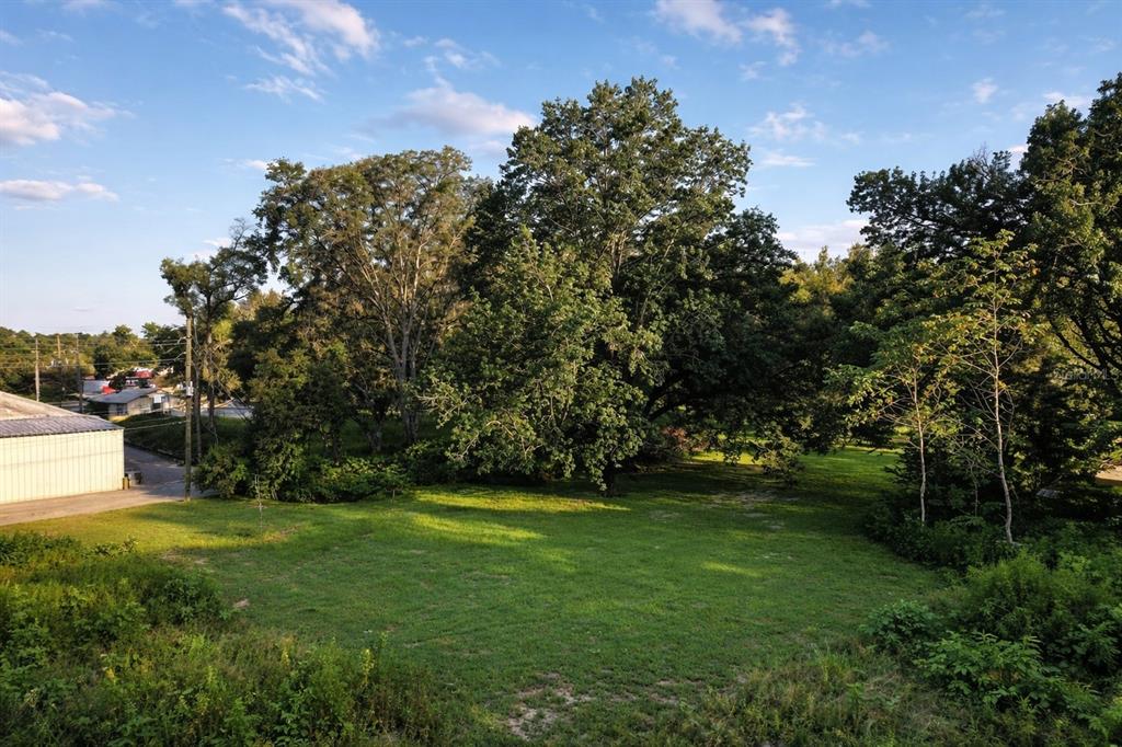 940 Northeast 35th Street Ocala, FL 34479 - Photo 6 of 7 a view of a park with large trees