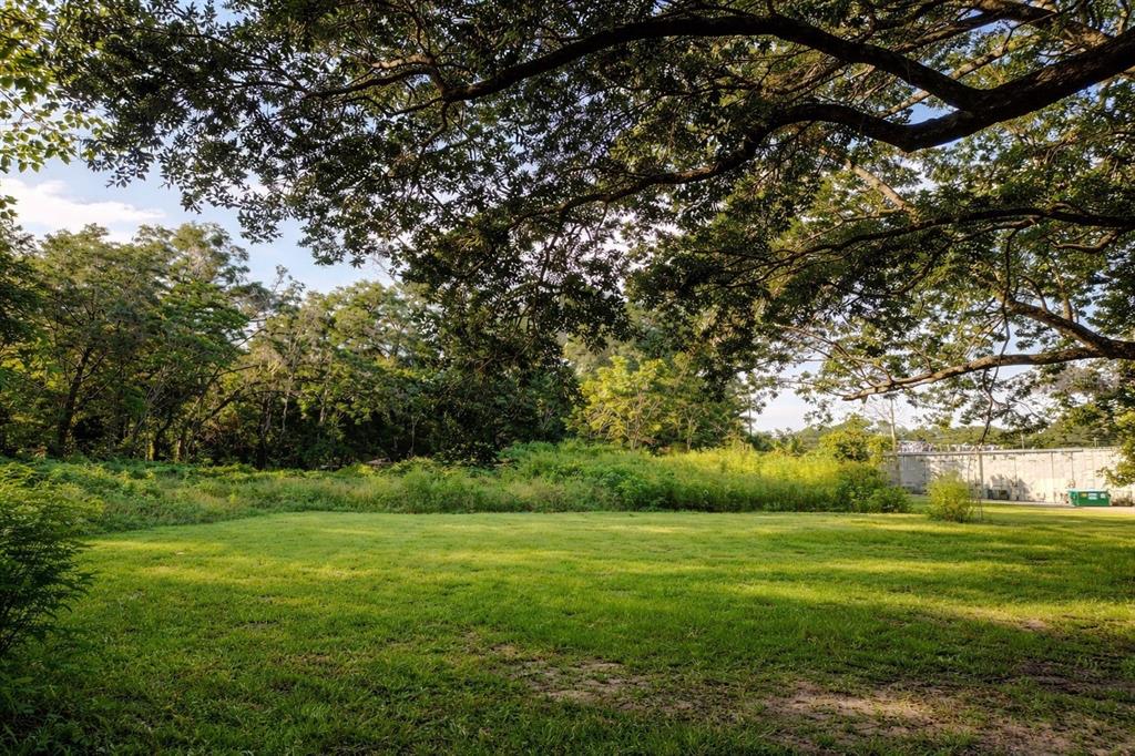 940 Northeast 35th Street Ocala, FL 34479 - Photo 7 of 7 a view of a grassy field with trees