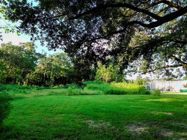 a view of a lush green space