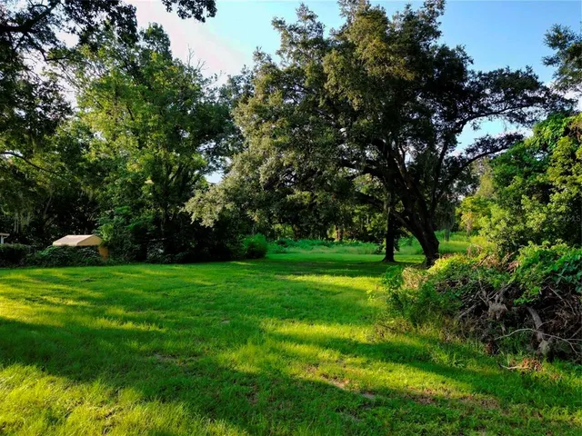 a view of a trees in a yard