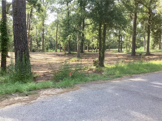 $275,000 | 0 Amelia Drive, Boyce, LA 71409