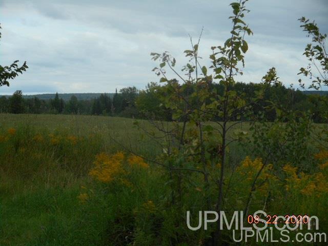 29162 South Wasas Road Mass City, MI 49948 - Photo 26 of 30