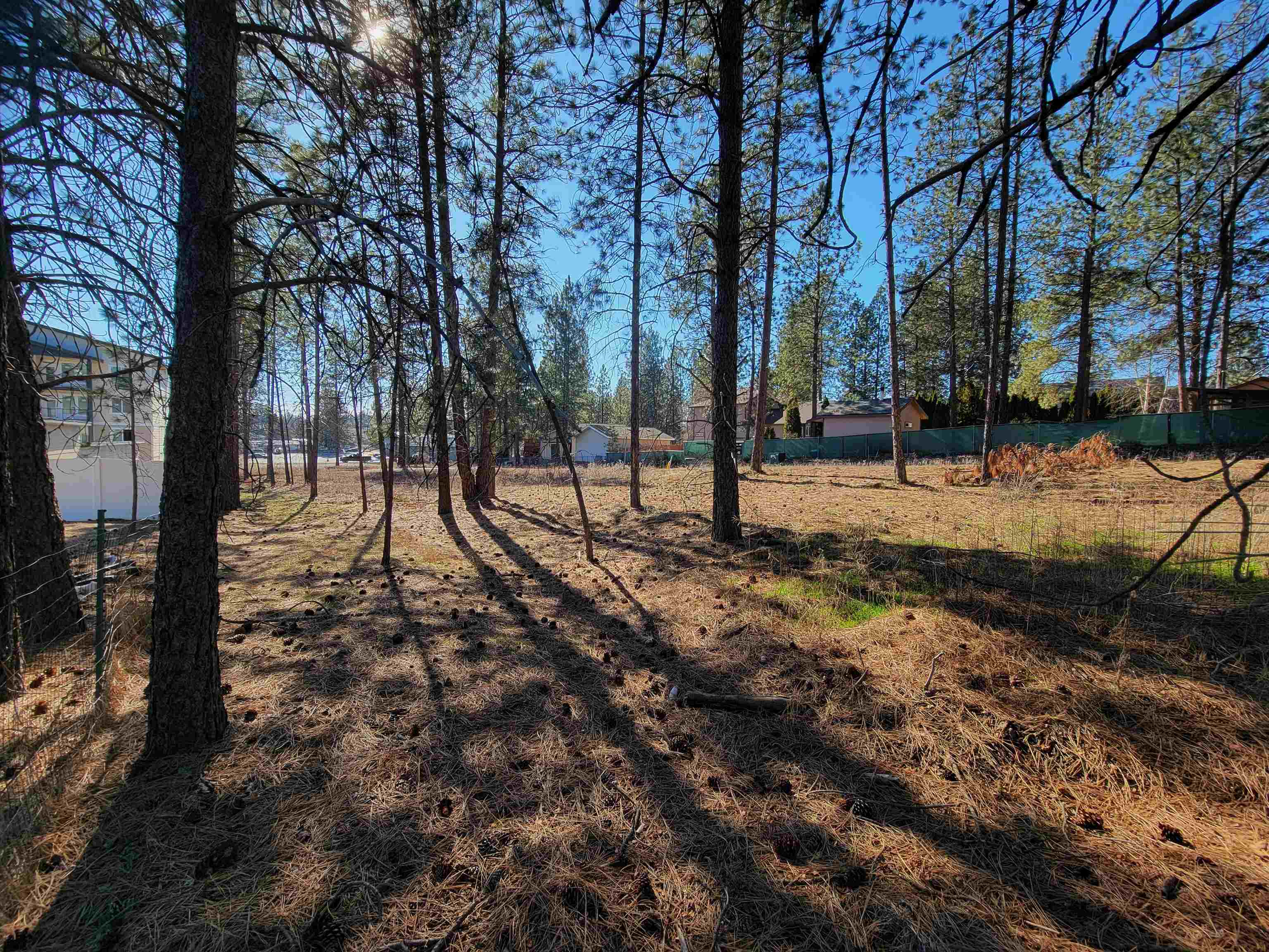 1516 East Center Road Spokane, WA 99208 - Photo 4 of 17